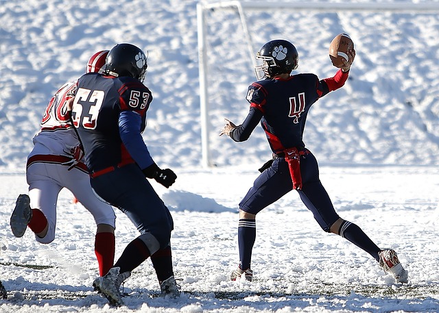 了多座冠军 了多座冠军