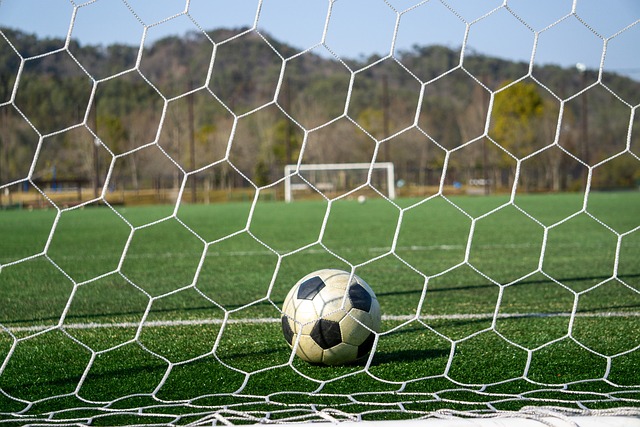 签署一份为 签署一份为