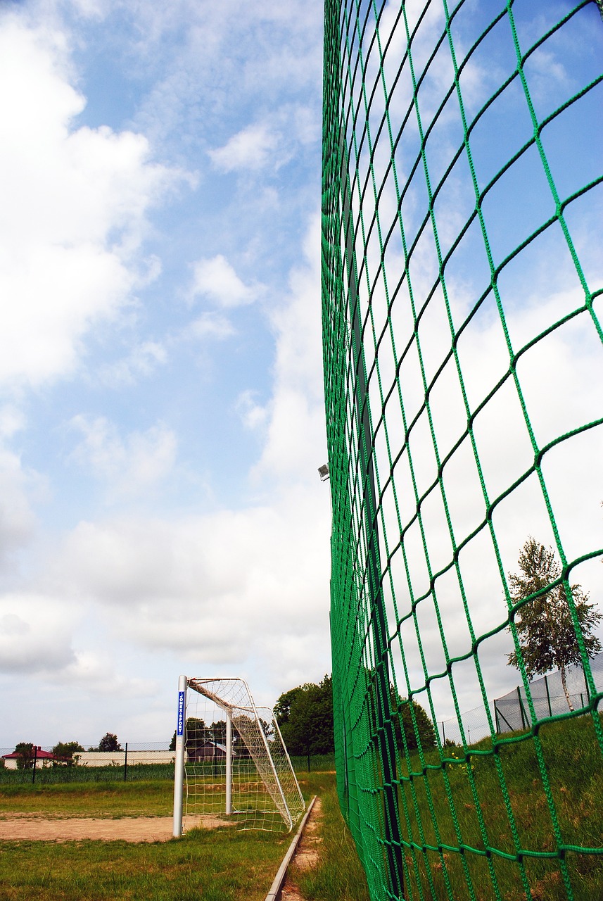 會是作為主 會是作為主