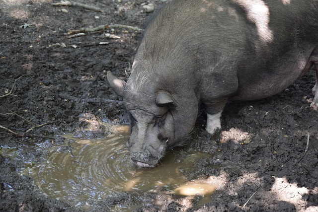 心理突破 心理突破