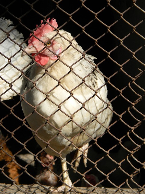 投篮训练 投篮训练