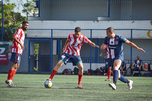 历不仅印证 历不仅印证